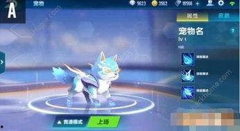 飞车宠物爆料最新信息,神秘宠物即将登场，玩法大揭秘！