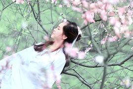 早春 在线观看,春意盎然,在线感受生命复苏之美 第3张 早春 在线观看,春意盎然,在线感受生命复苏之美 第3张